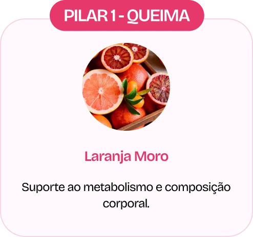 Ingrediente